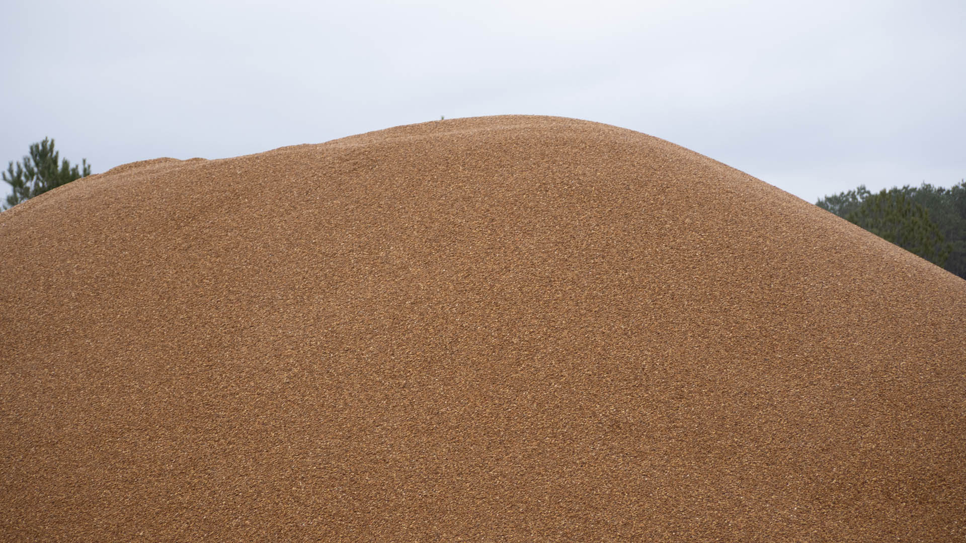 Washed Gravel - Multiple sizes for drainage and driveways
